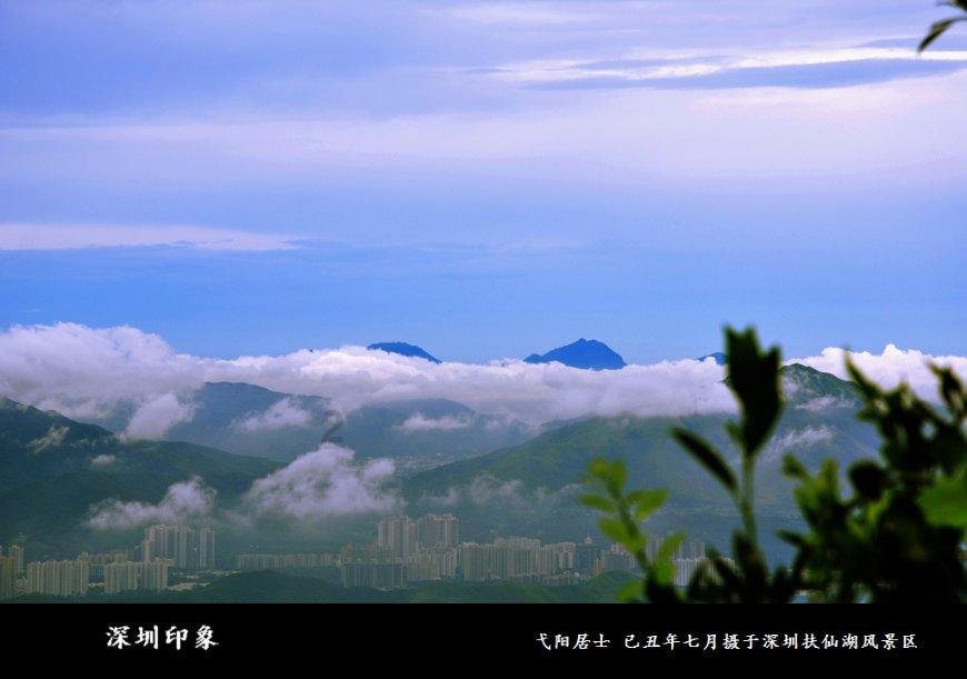 逗小猴开心系列211